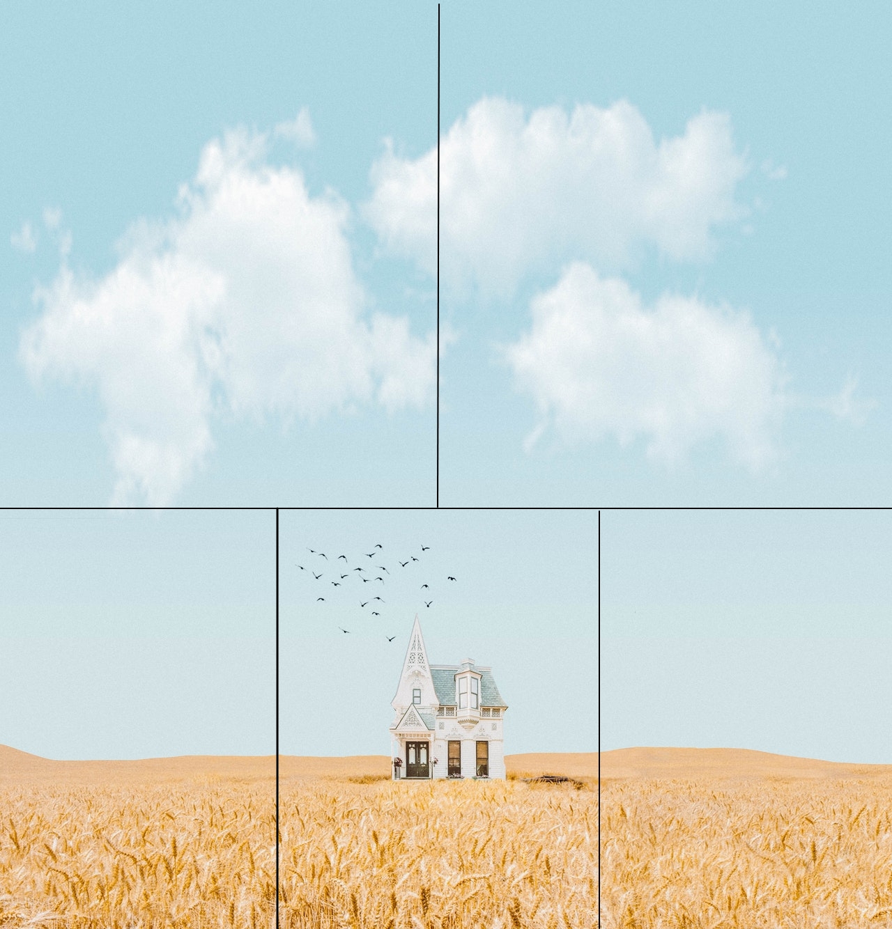 house-in-the-middle-of-crop-field-3330118_-_crop_lines.jpg